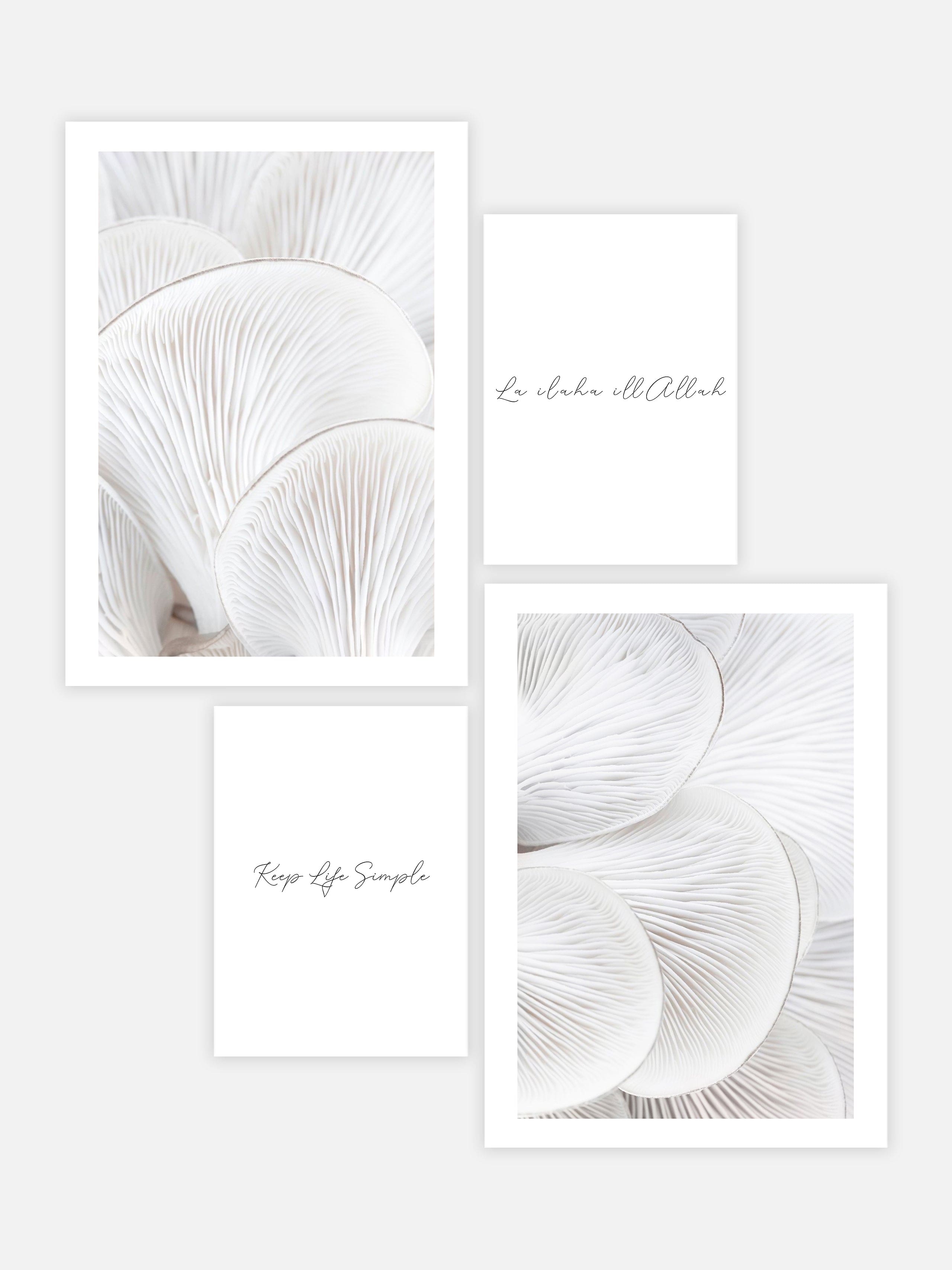 Oyster White Set