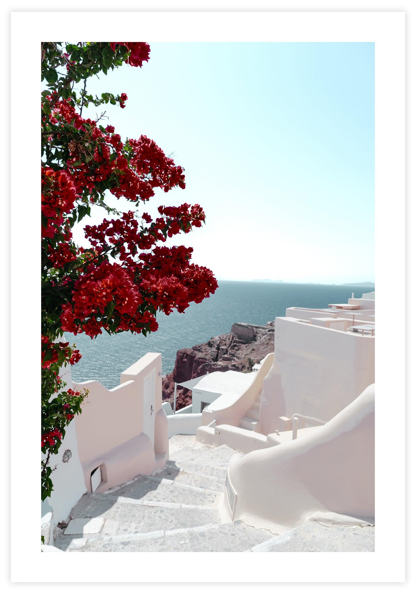 Santorini Flowers Poster