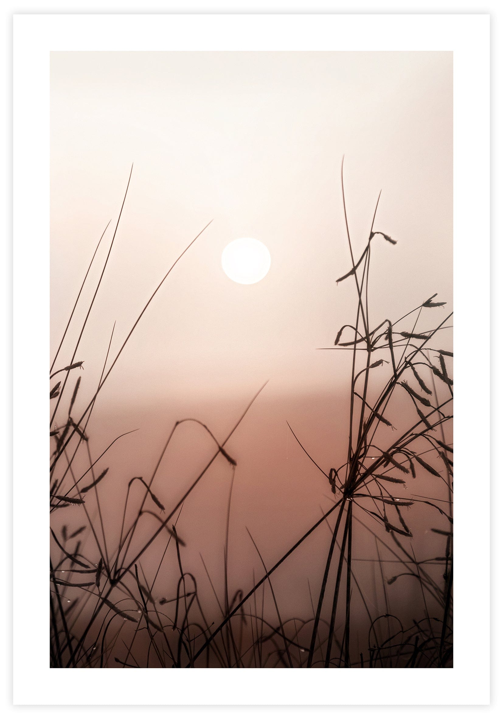 Morning Sun Poster