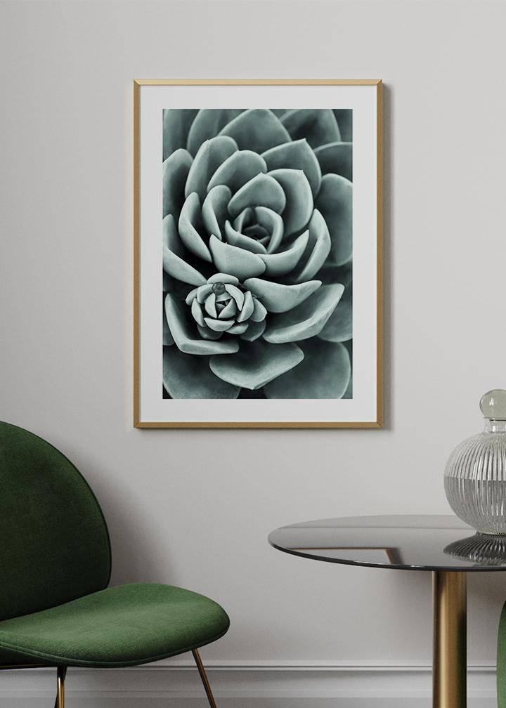 Mint Green Succulent Poster - KAMANART.DE